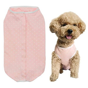 PET �p�㕞 �q�b�v�p���c �����p���c �ی앞 �Y�����p ��D �I�X�������� ���� �����ی� �畆�a �ʋC ���^�� ���^�� �iXXS�A�������ʕ��j