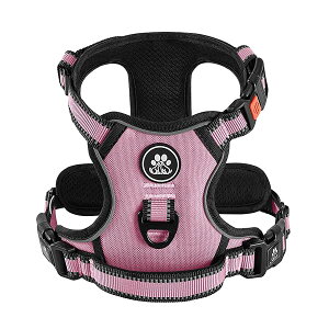 ���p�n�[�l�X �A�ɗD���� ���^���A���^���A��^���p ���߉\ ��Ԕ��ˍ� �ʋC�� ��������h�~ �ȒP���E �U�� �� �n�[�l�X �Č� �H�c�� �P�� �h�b�O ���� �s���N,XL�u�n�[�l�X�̂݁v