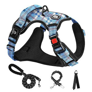 �� �n�[�l�X ���p���� ���߉\ ��Ԕ��� ���^��/���^��/��^�� �ʋC�� ���b�V�� ���s�⏕ �U�� �����p �y�� ���S ������� ��������h�~ �h�b�O �P�� �Č� �H�c�� (S,�i�q+�u���[)