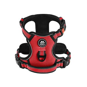 ���p�n�[�l�X �A�ɗD���� ���^���A���^���A��^���p ���߉\ ��Ԕ��ˍ� �ʋC�� ��������h�~ �ȒP���E �U�� �� �n�[�l�X �Č� �H�c�� �h�b�O ���� ���b�h,M�u�n�[�l�X�̂݁v