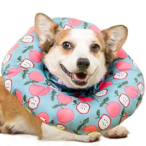 �G���U�x�X�J���[ �� �L �ӂ�ӂ� �_�炩�� �h�� ���� �畆�a ��D �p�� ��� �����~�� ���r�ߖh�~ �􂦂� �����\ ���^ ���^ ��^�� �� 2way �y�b�g�p�i �l�G�K�p