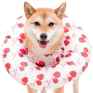 �G���U�x�X�J���[ �� �L �ӂ�ӂ� �_�炩�� �h�� ���� �畆�a ��D �p�� ��� �����~�� ���r�ߖh�~ �􂦂� �����\ ���^ ���^ ��^�� �� 2way �y�b�g�p�i �l�G�K�p