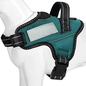 �y���{��挢�n�[�l�X�z ���p���� ���^��/���^��/��^���n�[�l�X �����΍� �A�ɗD���� �������ȐF �ʋC�� ���S���Ȃ� �l�[���v���[�g 7�F�I��(�_�[�N�O���[���AS)