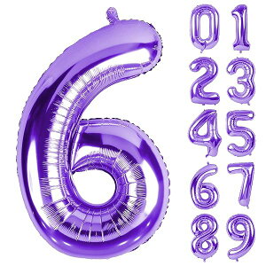 o[ A~D 6 io[ 40C` 傫 a nbs[o[Xf[ t EFfBO LO p[eB[  90cm p[v