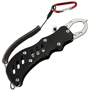 tBbVObv ͂݊  tBbVLb`[ ނpy` hKf A~ ނ y RpNg ЎŎgp\ Jri eh~[vt