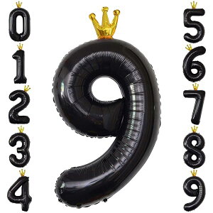 o[  D a  40C` 傫 io[9 o[Xf[o[ t NE t  p[eB[ LO EFfBO ubN