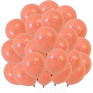 o[ D 100 _F SD   Ɍ ی^ ebNXo[ a o[Xf[ p[eB[  Xܑ j Cxg ^  10C` (_F)