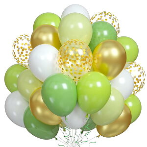 o[ D 50 10C` Eh X^_[hJ[  SD t a  p[eB[ Ղ  O[ S[h 6FA\[g