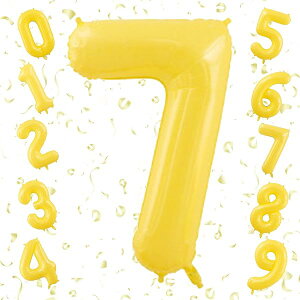 o[ 傫 40C` 100cm io[A~D at LO o[Xf[p[eB[ j l  w (7, F)