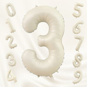 o[ 傫 40C` 100cm io[A~D at LO o[Xf[p[eB[ j l  w (3, N[F)