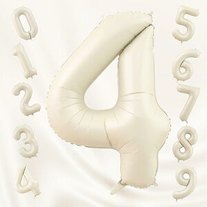 o[ 傫 40C` 100cm io[A~D at LO o[Xf[p[eB[ j l  w (4, N[F)