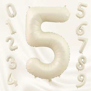 o[ 傫 40C` 100cm io[A~D at LO o[Xf[p[eB[ j l  w (5, N[F)