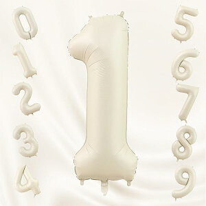 o[ 傫 40C` 100cm io[A~D at LO o[Xf[p[eB[ j l  w (1, N[F)