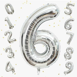 o[ 傫 40C` 100cm io[A~D at LO o[Xf[p[eB[ j l  w (6, F)