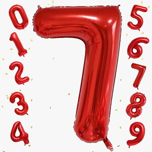 o[ 傫 40C` 100cm io[A~D at LO o[Xf[p[eB[ j l  w (7, bh)