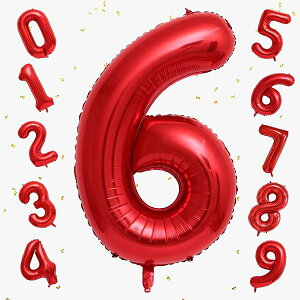 o[ 傫 40C` 100cm io[A~D at LO o[Xf[p[eB[ j l  w (6, bh)