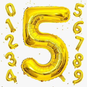 o[ 傫 40C` 100cm io[A~D at LO o[Xf[p[eB[ j l  w (5, S[h)