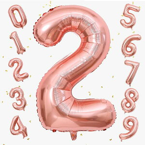 o[ 傫 40C` 100cm io[A~D at LO o[Xf[p[eB[ j l  w (2, [YS[h)