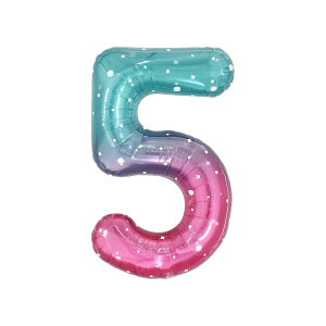 40C` 傫  o[ 5 u[ sN  io[ o[ a  D 100cm nbs[o[Xf[ OB p[eB[ LO EFfBO j 