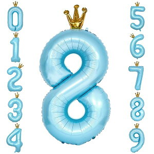 o[  D a 40C` 傫 io[8 o[Xf[o[ t NE t  p[eB[ LO EFfBO u[