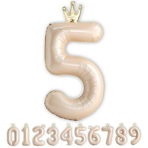 40C` a o[  5 LF D 傫 a t o[ K[ t nbs[o[Xf[ LO birthday p[eB[  jp