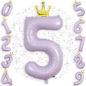  o[  p[v a t 40C` 傫 D io[ 5 o[Xf[o[ t Ep[eB[ELOp x_[F