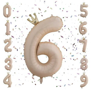 ao[ D o[ a  t oXfB[o[ 40C` 傫 A~ Xg[t   LO  p[eB[ (6)