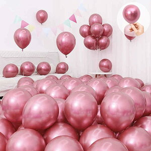 D o[ bh 5C` 50 S Ɍ  D ebNXo[ ^bNJ[   a  l X܊JXj p[eB[ ^  o[