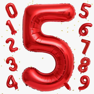 o[ 傫 40C` 100cm io[A~D at LO o[Xf[p[eB[ j l  w (5, bh)