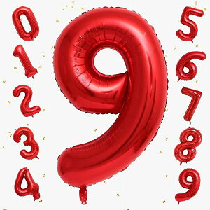 o[ 傫 40C` 100cm io[A~D at LO o[Xf[p[eB[ j l  w (9, bh)