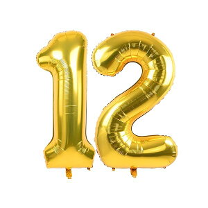 40C` 傫  o[ 12  S[h io[ o[ a  D 100cm nbs[o[Xf[ OB p[eB[ LO EFfBO j 