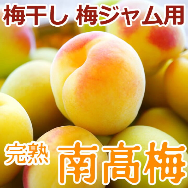 楽天市場】(予約) 完熟・青梅 紀州みなべ産 南高梅 秀品 サイズ(4L 
