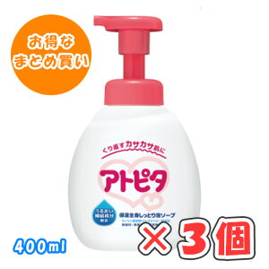 Ags^ ێSgƂA\[v {(|v) 400ml × 3 /V`l܂/xr[\[v/ێ/