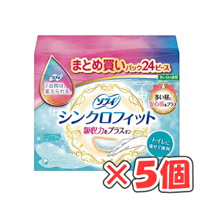 \tB VNtBbg ̒p 24R × 5