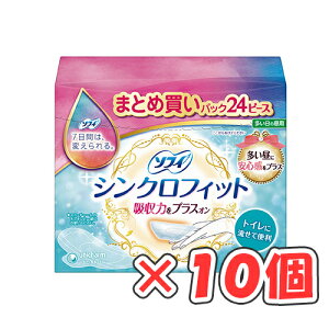 \tB VNtBbg ̒p 24R × 10