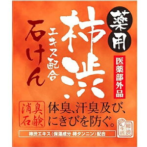 薬用柿渋エキス配合石けん100g×20個