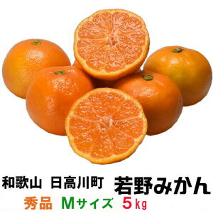 i\ju݂v5kgEGiEMTCY yikCEȊOjzyZ[݂ÂŃs[^[ozIBa̎RS쒬(Ӓ)̎Y@B~J