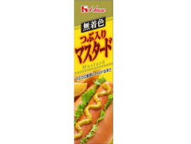 ハウス食品 つぶ入りマスタード40g ×60個【送料無料】