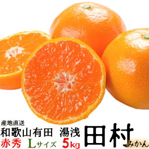 i\ju c݂v5kgEԏGELTCY yikCEȊOjzIBa̎RLc@{̘a̎RLcނ݂^Lc݂^݂ 5kg