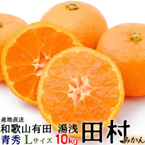 i\ju c݂v10kgEGELTCY yikCEȊOjzIBa̎RLc@{̘a̎RLcނ݂^Lc݂^݂ 10kg