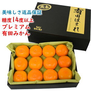 ԕiۏ؁I x14xȏ Lcق܂ () MTCY 12 /a̎RLc݂/肾 ݂