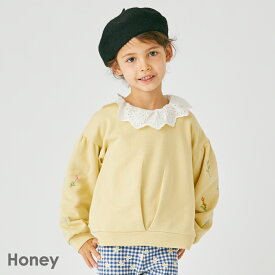 袖刺繍 トレーナー | キッズ ベビー 子供 子供服 キッズ服 女の子 ガールズ 秋服 秋物 長袖 トップス キッズトレーナー 長袖トレーナー プルオーバー 裏毛 スウェット スエット 保育園 綿 コットン 刺繍 花柄 小花 ぽわん袖 25AW 203235020