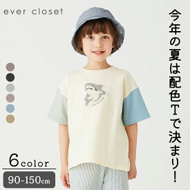 クレイジーパターンT｜ キッズ ベビー スクール ジュニア 子供 子ども こども 子供服 キッズ服 男の子 男児 ボーイズ 夏 夏服 夏物 半袖 tシャツ トップス 配色 柄 刺繍 サメ 恐竜 保育園 幼稚園 小学生 小学校 通園 通学 綿 ニットサッカー 23SS