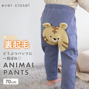 NтǂԂpc| LbY xr[ q q LbY xr[ Ԃ  V ̎q j̎q H~ Y{ Y{ pc MX Mp ۈ牀 N 