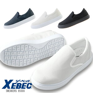 Xj[J[ W[xbN 85666 jp cȂ ϖ ϊ ƌC ~[C ~[ Lb`V[Y RbNV[Y Y fB[X ɂ    TCY 傫TCY XEBEC 3F