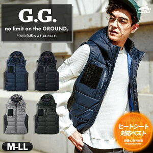 h hxXg Ka 0024-06Y H~ ƒ ƕ h dM dMxXg ̂ y ۉ   t[ht  AEghA X|[c G.G. wM-LLx