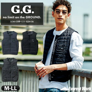 h hxXg Ka 8234-06 Y H~ ƒ ƕ h Ci[ ɂ y ۉ   AEghA X|[c G.G. wM-LLx