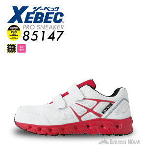 SC W[xbN vXj[J[R 85147 jp JSAAKiF |c }WbNe[v ϖ RȂ fB[X Y h 3E ʋCQ Ռz ϊ R hL y S EVA Z[te