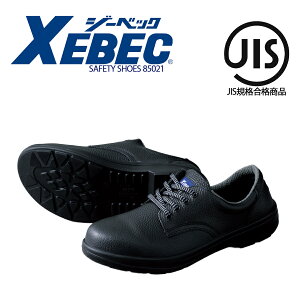 SC ZC W[xbN 85021 c JISKiii E^2w vZ[teBV[Y rWlXV[Y ϖ Ռz ƌC XEBEC w24.0cm`29.0cmx