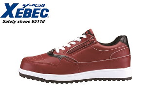 SC W[xbN 85118 jp ϊ fB[X Y Z[teB[V[Y c RC   ɂ TCY 傫TCY 4E XEBEC w22cm`30cmx